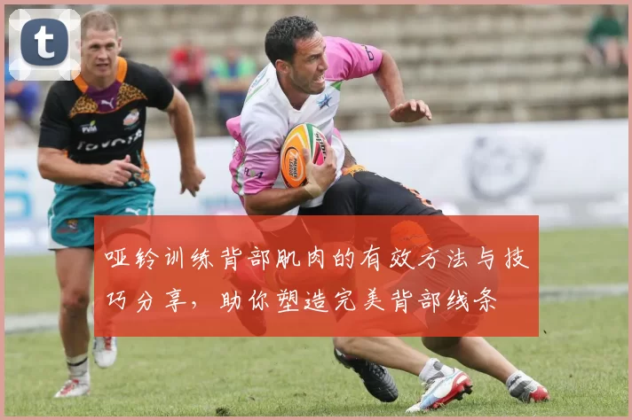 哑铃训练背部肌肉的有效方法与技巧分享，助你塑造完美背部线条