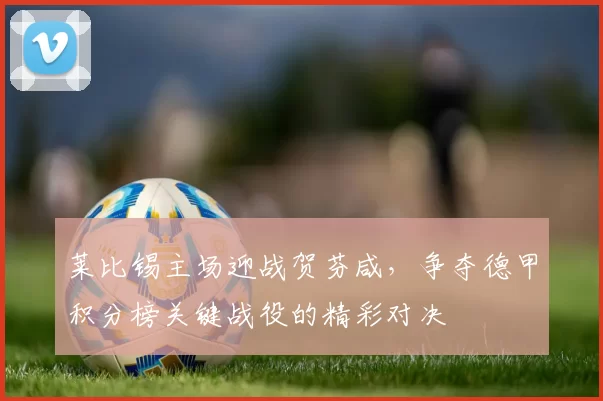 莱比锡主场迎战贺芬咸，争夺德甲积分榜关键战役的精彩对决