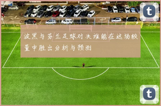 波黑与芬兰足球对决谁能在这场较量中胜出分析与预测