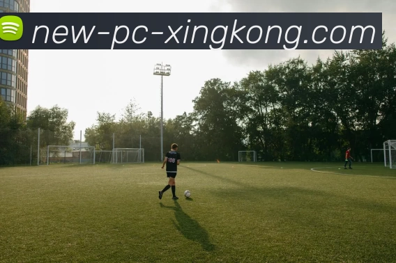 XINGKONG发展历程